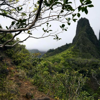 Narrow hiking trail winding through dense green vegetation, leading toward a steep, pointed mountain peak partially covered by mist.