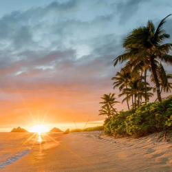 Golden sunset over a sandy beach lined with palm trees, with the sun low on the horizon casting warm light across the shoreline and ocean.