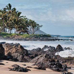 Rocky shoreline with waves crashing against dark volcanic rocks, palm trees lining the coast, and a distant mountain visible under a partly cloudy sky.