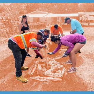 A group of people work together outdoors to gather freshly harvested corn laid out on the ground, bending down to collect the ears in a rural setting.