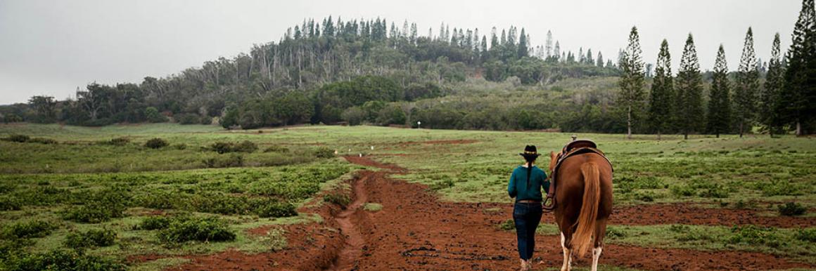 Lanai