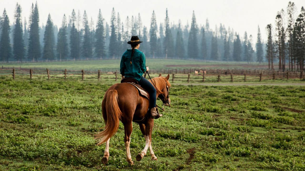 Woman on a horse in field on Lanai