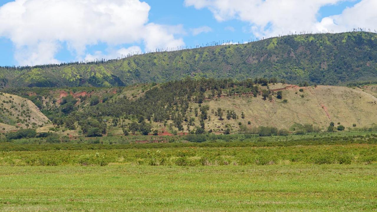 Field with mountains in background on Lanai