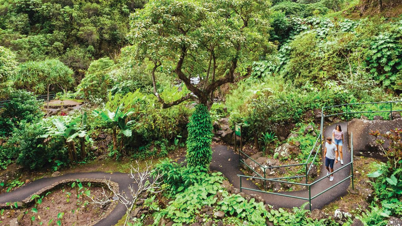 Iao Valley hiking on Maui