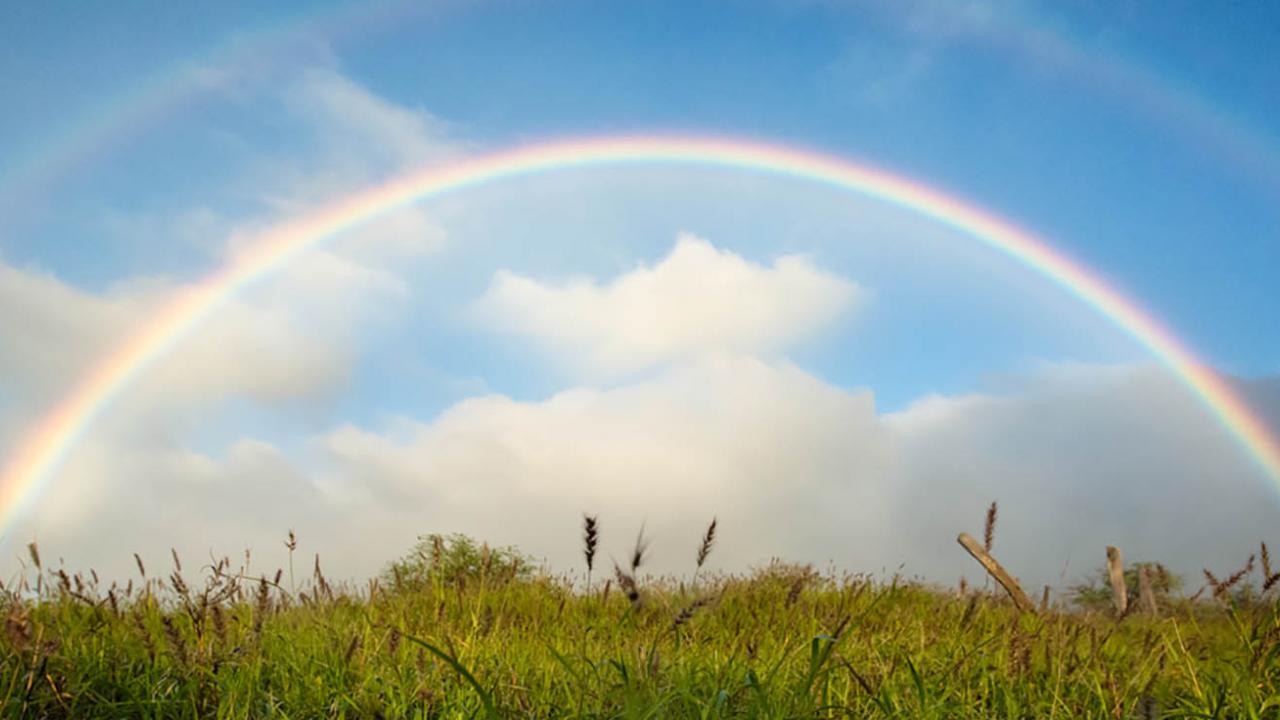 Rainbow in field Hawaii