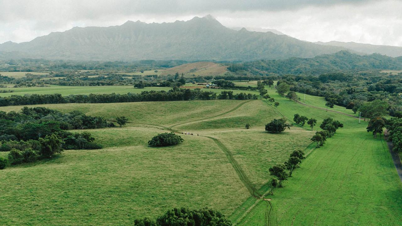 Scenic farm fields