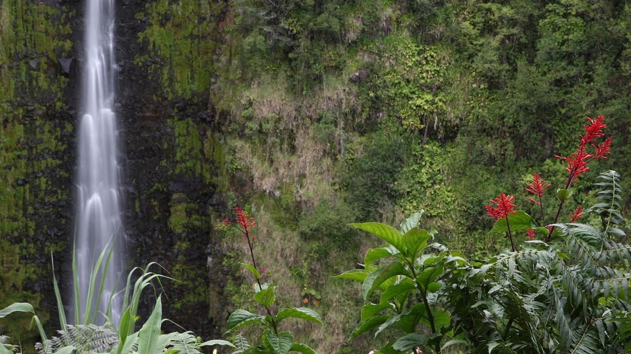 Waterfalls on island of Hawaii