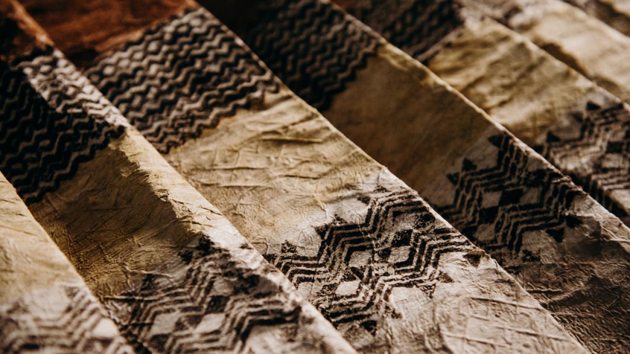 Close up of fresh kapa