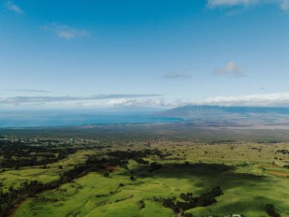 Maui