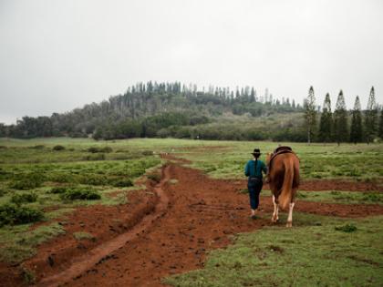 Hawaiian Cultural Information
