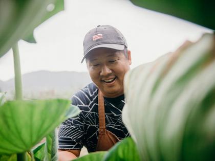 Voluntourism, Sustainable Travel