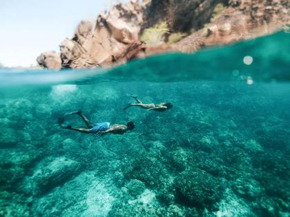 Snorkelers in the ocean on island of hawaii