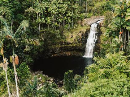 Falls on Island of Hawaii