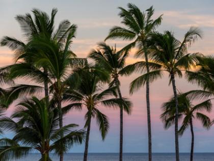 island of Hawaii
