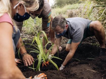 Visitors participate in reforestation efforts by planting native trees