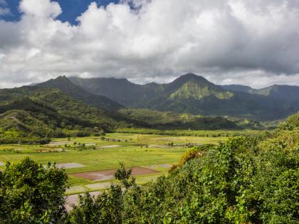 Aerial of Hanalei