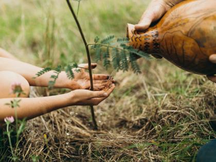 tree-planting