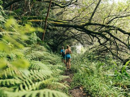 Couple hiking on island of Hawaiʻi
