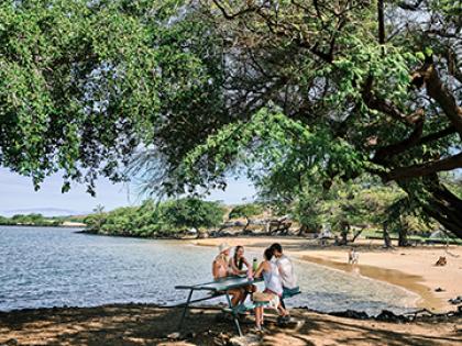 People enjoy a picnic at the beach