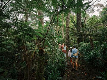Visitors on a guided hiking tour