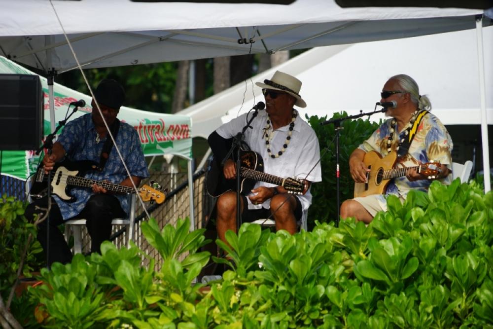 Hawaiian store slack guitar