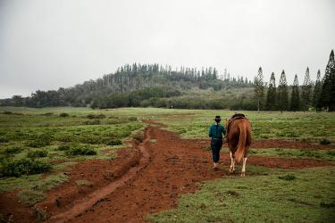 Woman walking with horse in Lanai