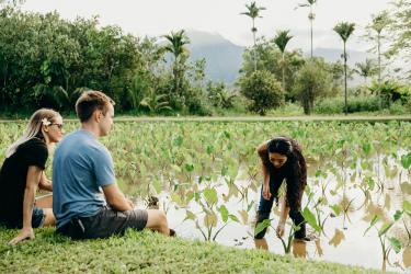 Kauai