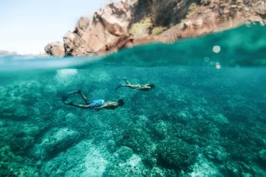 Snorkelers exploring Kealakekua Bay
