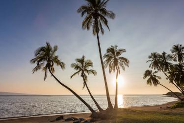 Molokai 