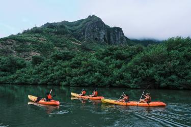 Guided kayak tour along the Huleia Stream