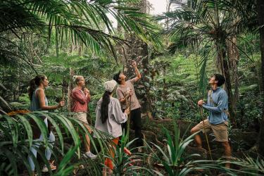 tour guiding visitors through jungle