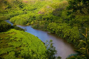 river on Kauai