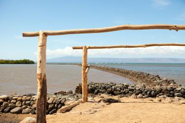 Alii Fishpond wall