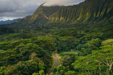 green mountains with road in the middle surrounded by lush trees