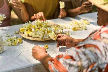 people making yellow plumeria lei